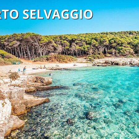Casa Smeraldo Mare A Sud Di Porto Cesareo Torre Inserraglio Eksteriør billede